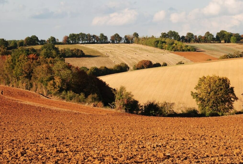 Photo of Others in Sens-Beaujeu