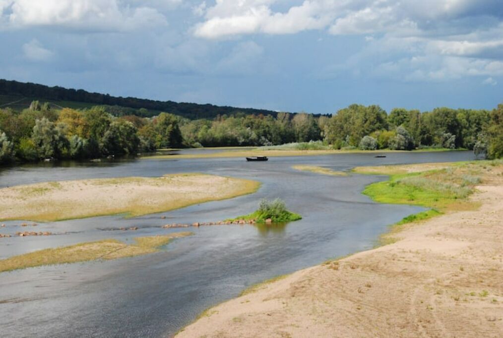 Photo of Others in Sens-Beaujeu