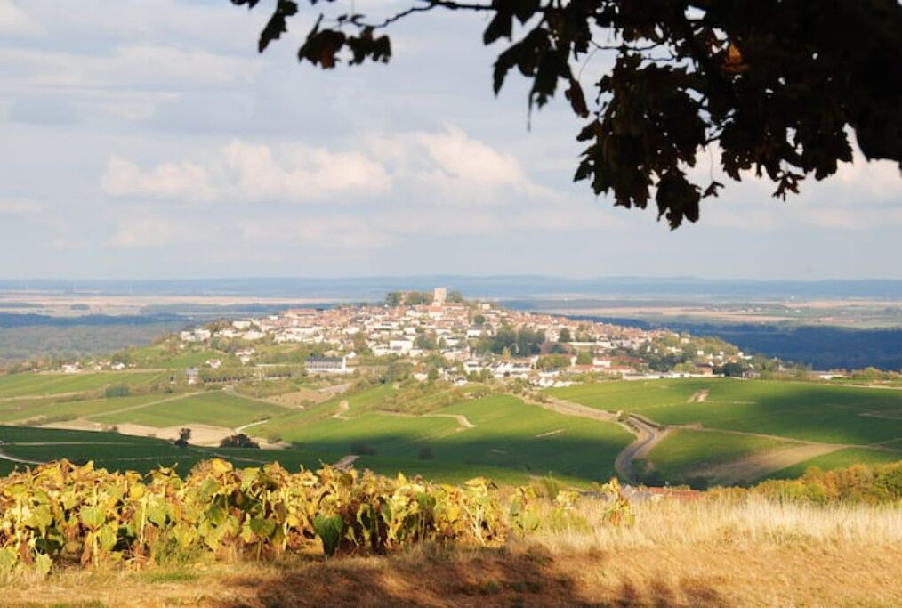 Photo of Others in Sens-Beaujeu