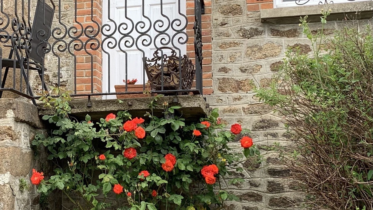 Photo of Outdoor in Brece