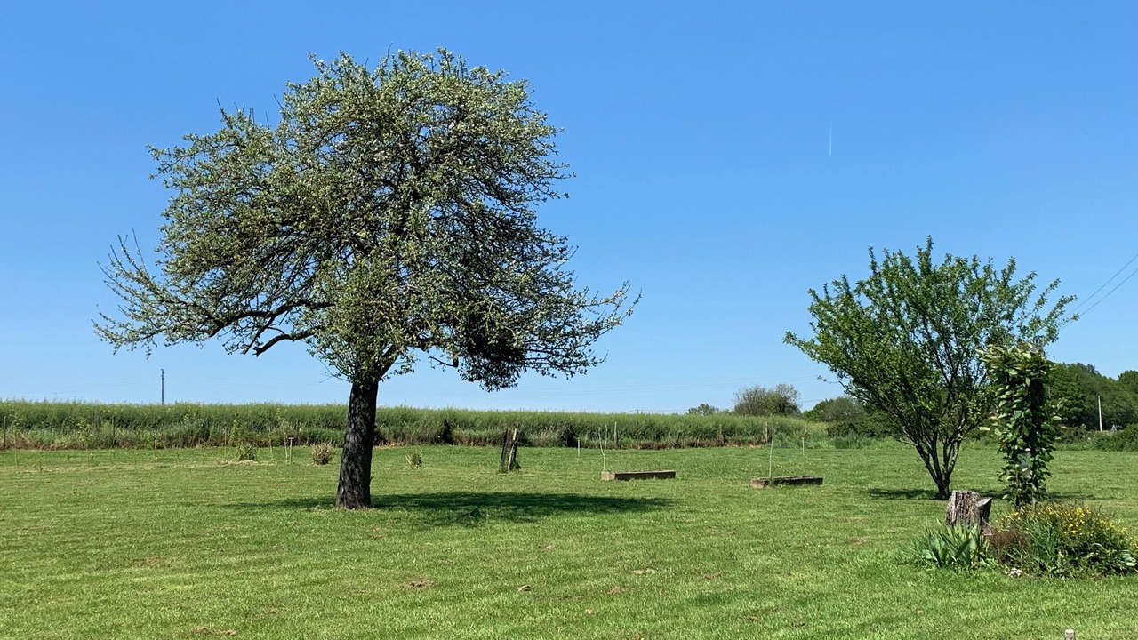 Photo of Outdoor in Brece