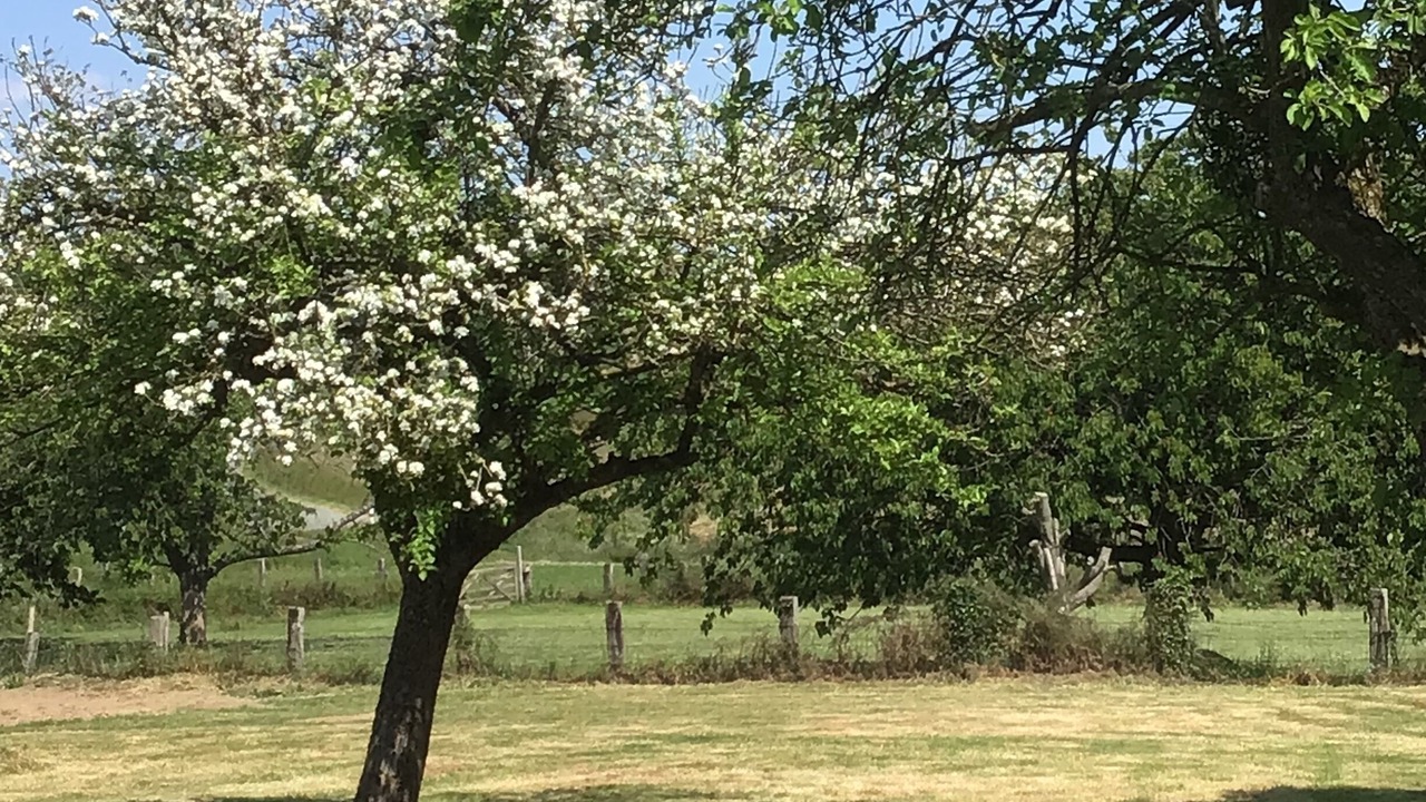 Photo of Outdoor in Brece