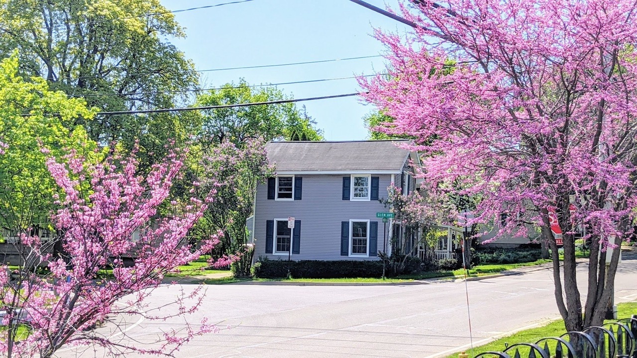 Photo of Outdoor in Williamsville