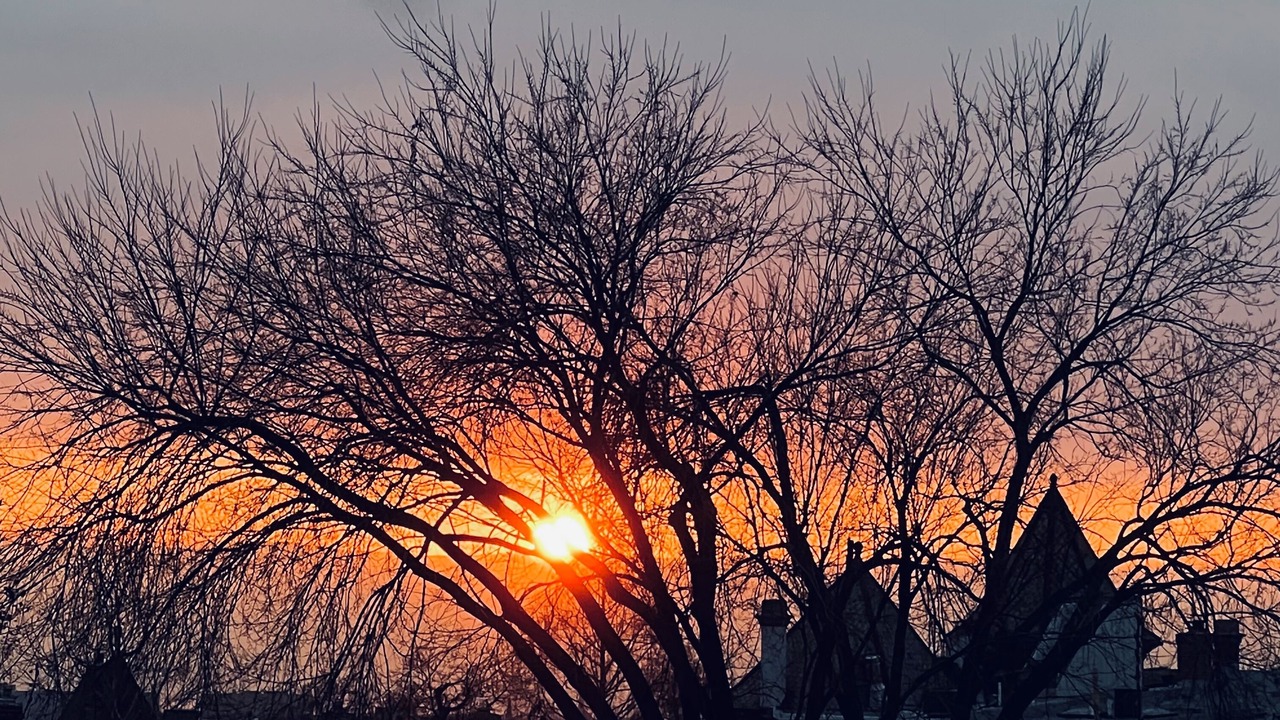 Photo of Others in Bloomingdale