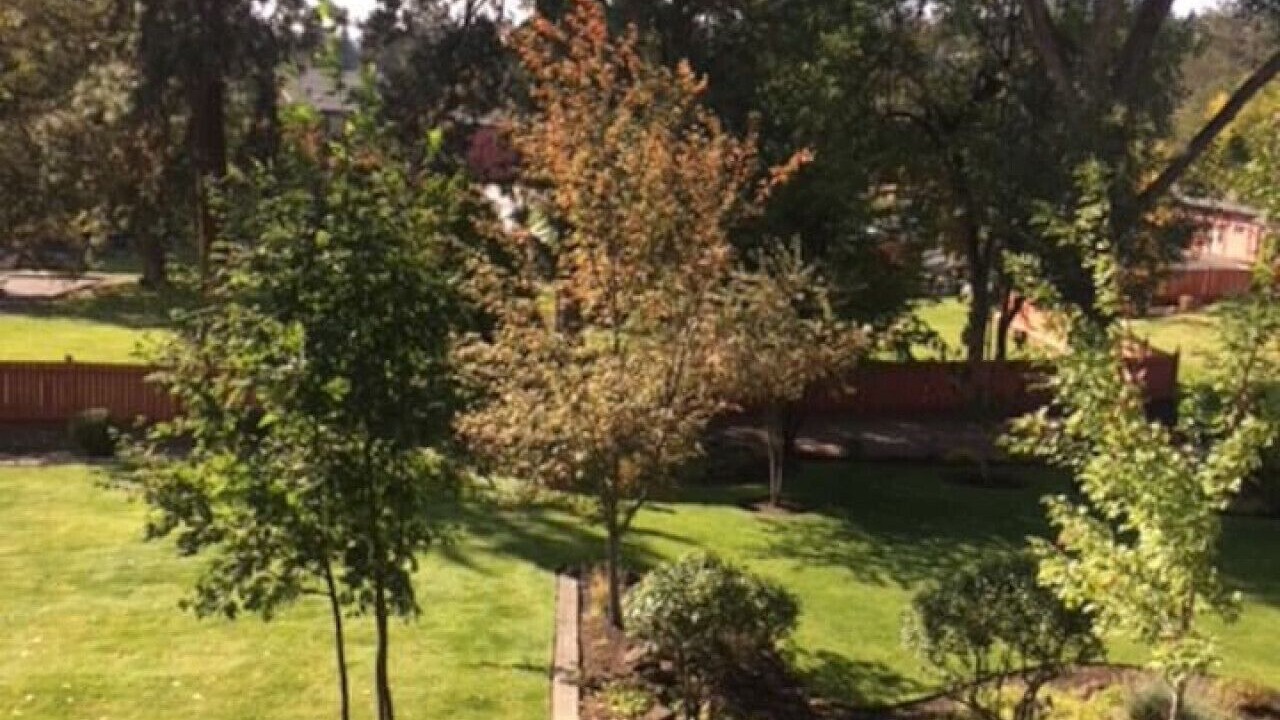 Photo of Outdoor in Bend