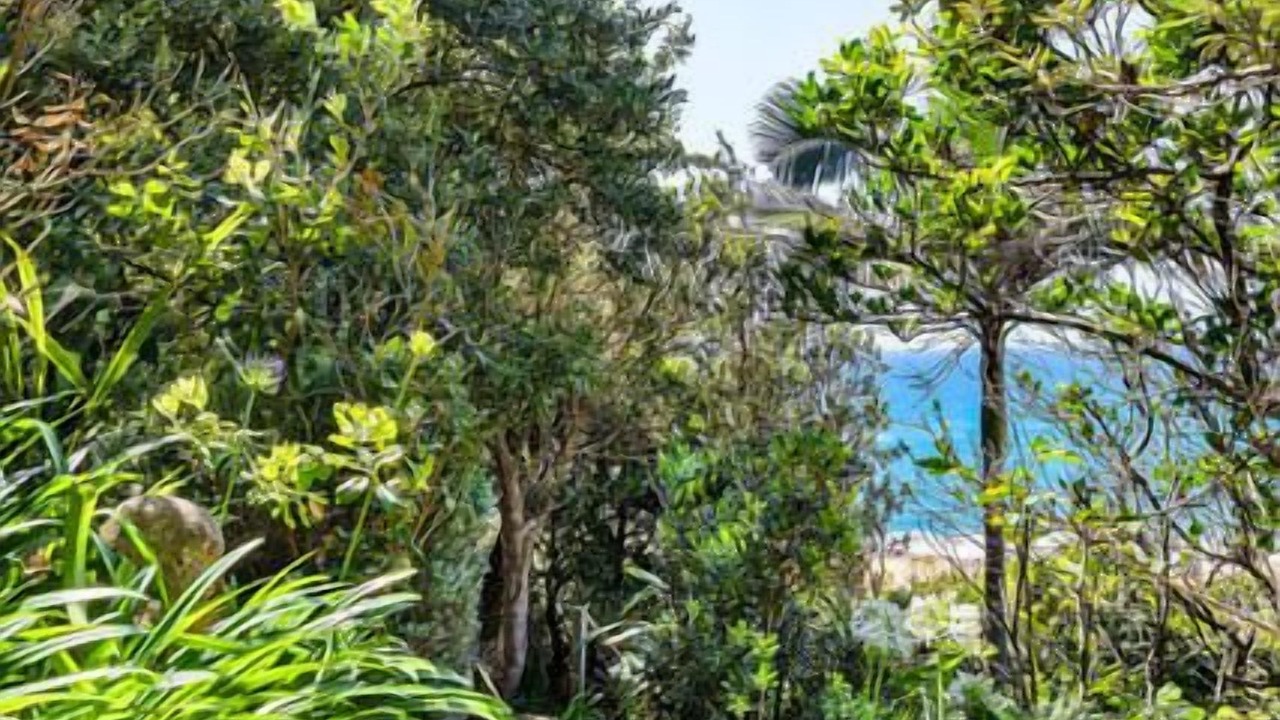 Photo of Outdoor in Forresters Beach