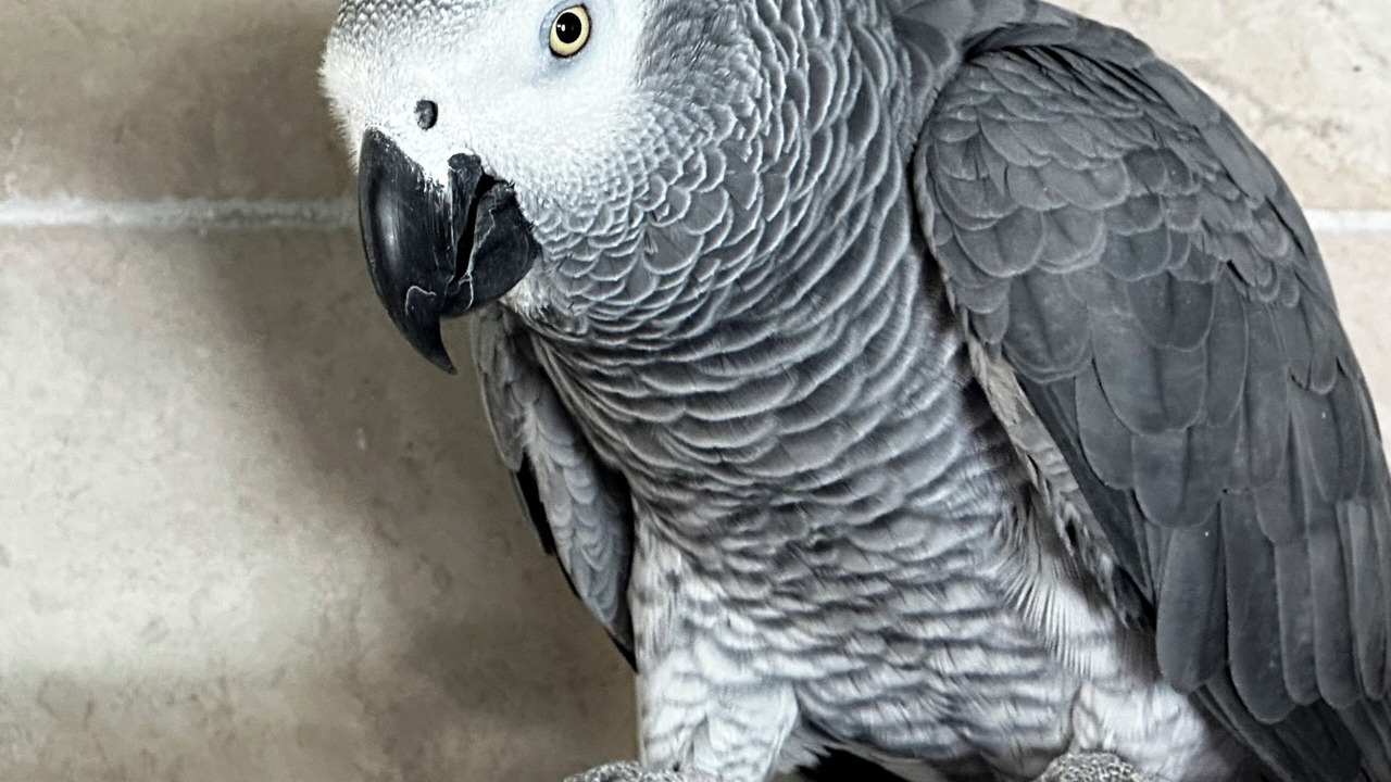 Photo of Bedroom in Lourmarin