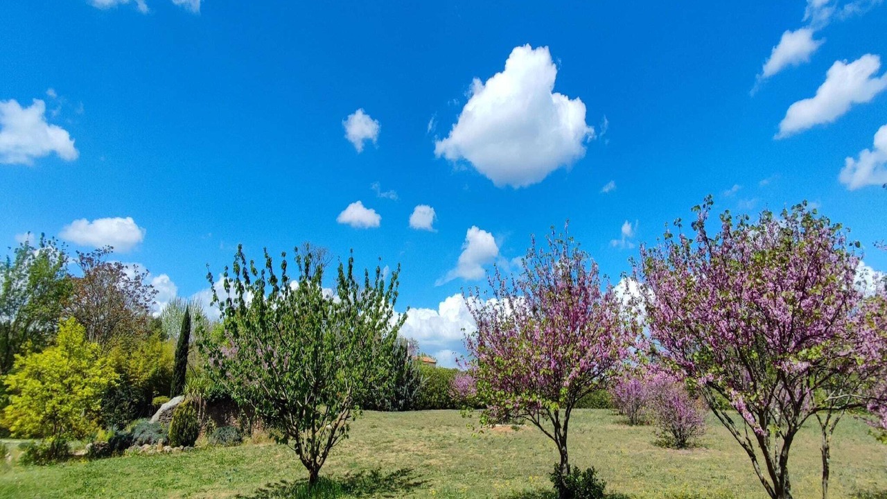 Photo of Outdoor in Puisserguier