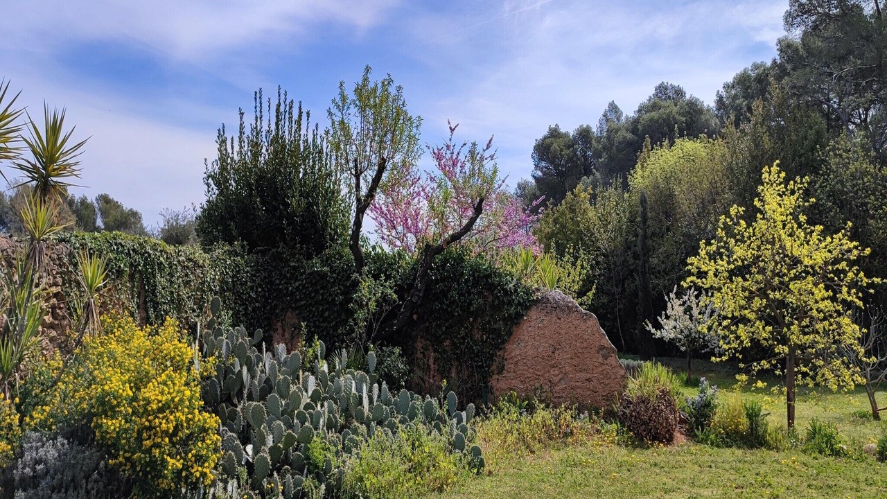 Photo of Outdoor in Puisserguier