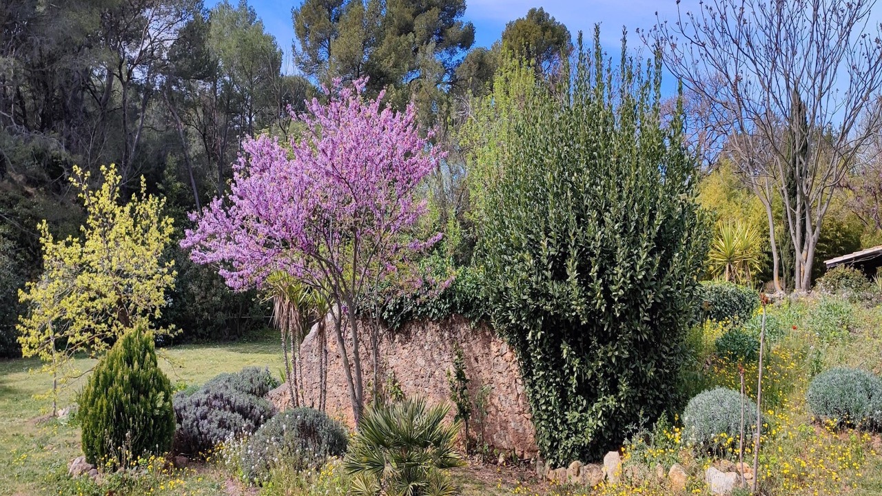 Photo of Outdoor in Puisserguier