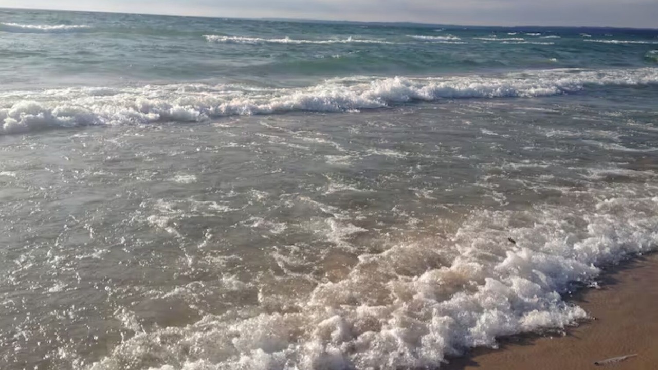 Photo of Others in Wymbolwood Beach