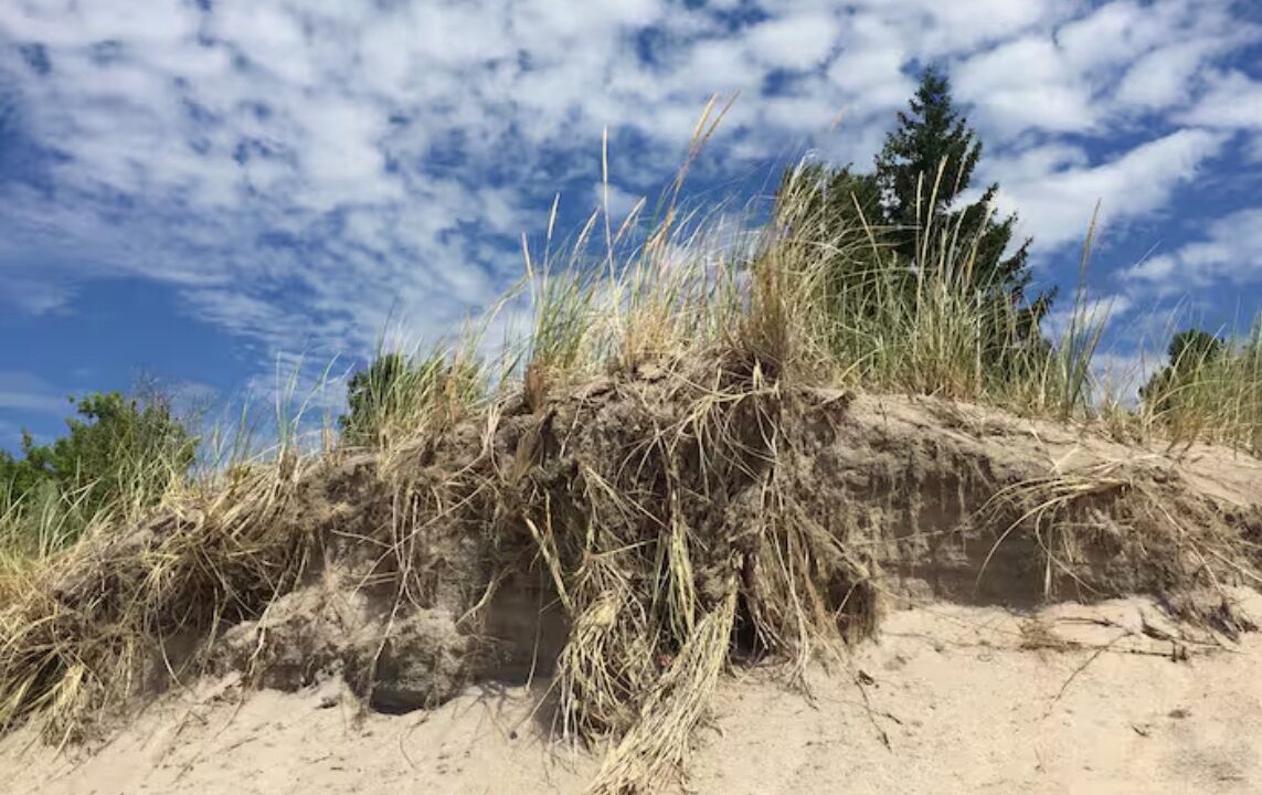 Photo of Others in Wymbolwood Beach