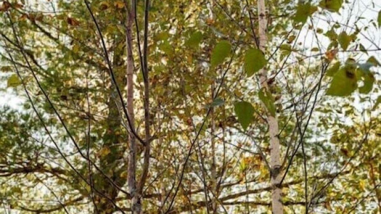 Photo of Others in Surry