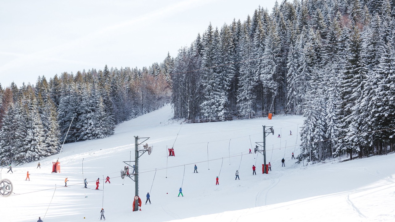 Photo of Others in Villard-Saint-Sauveur