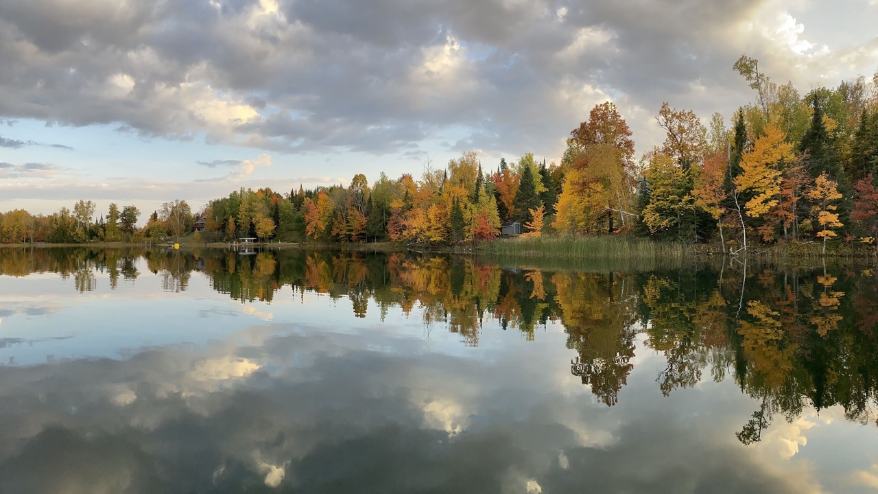 Photo of Others in Grand Rapids