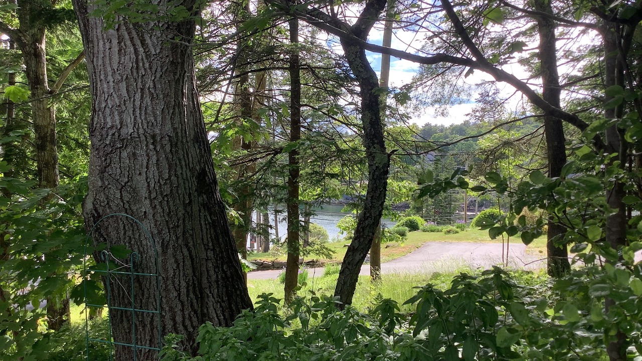 Photo of Others in Boothbay Harbor