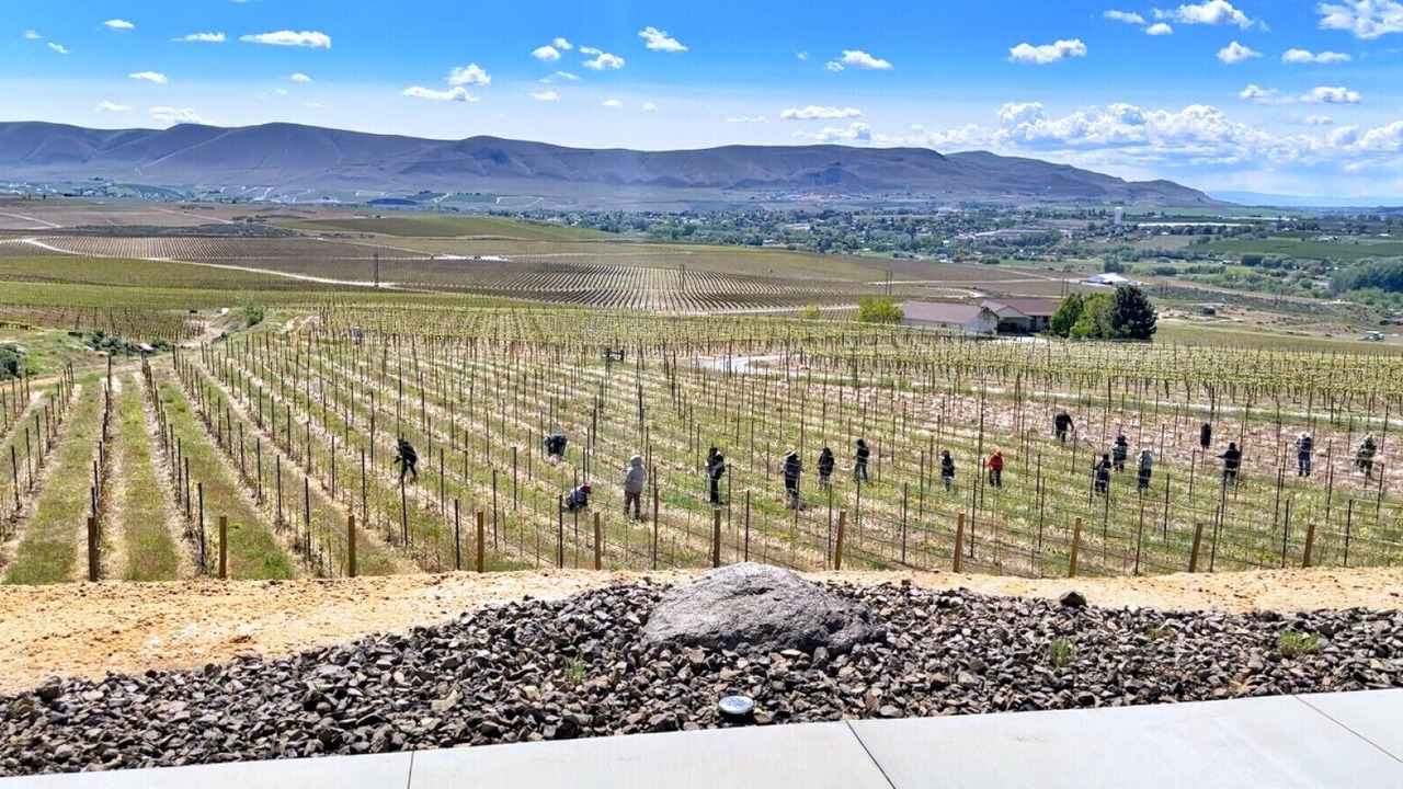 Photo of Others in Benton City