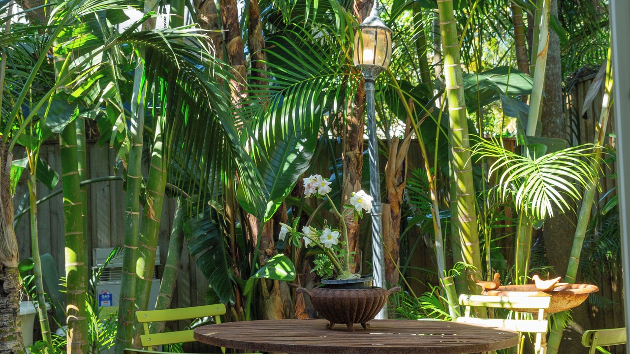 Photo of Outdoor in Suffolk Park