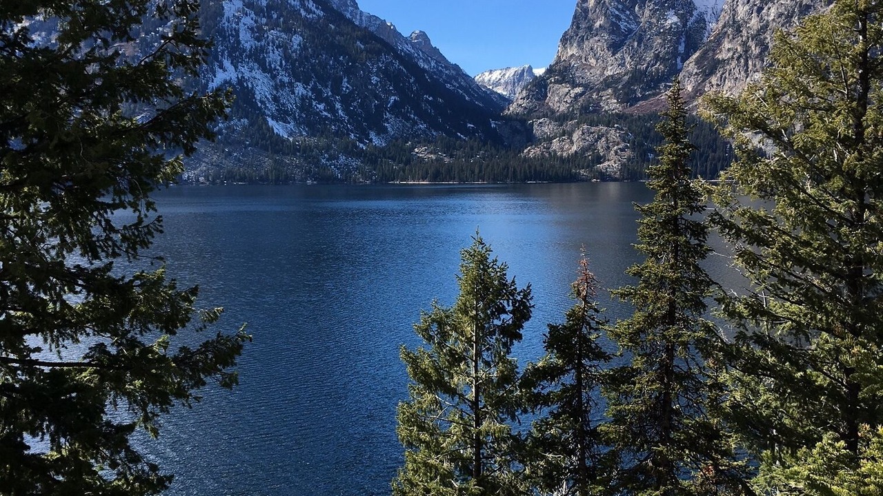 Photo of Outdoor in Moose Wilson Road