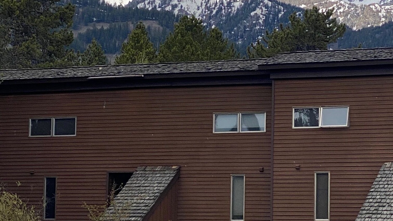 Photo of Others in Moose Wilson Road