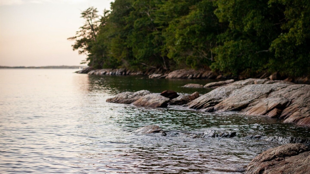 Photo of Others in Bath