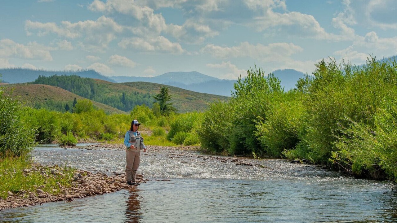 Photo of Others in Game Creek