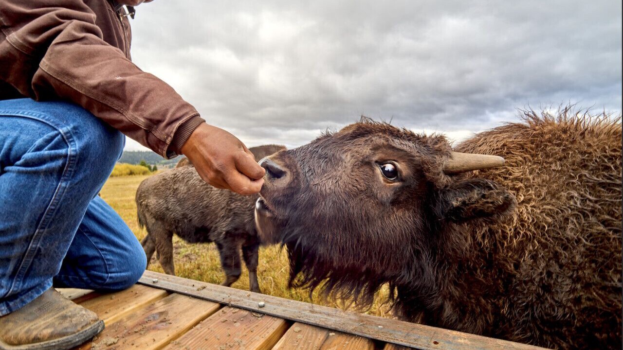 Photo of Others in Game Creek