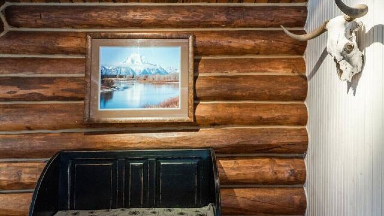 Photo of Others in Game Creek