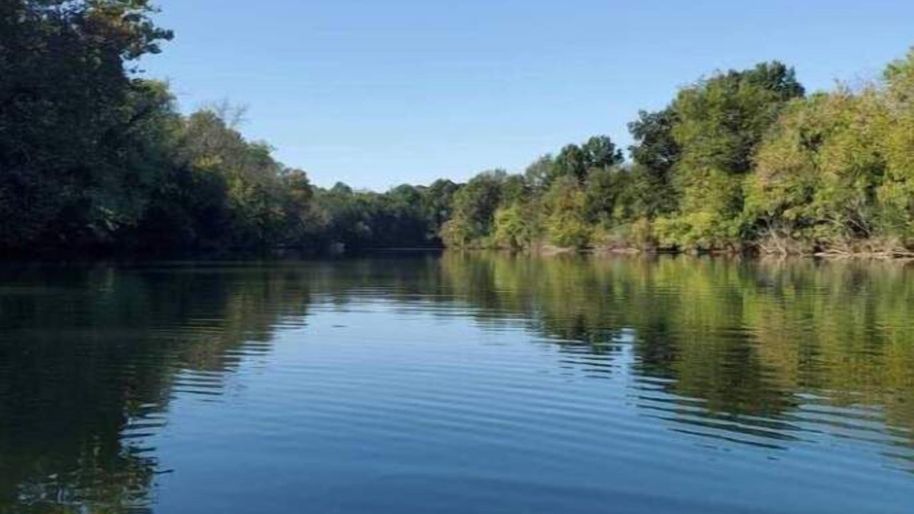 Photo of Others in Wilson County