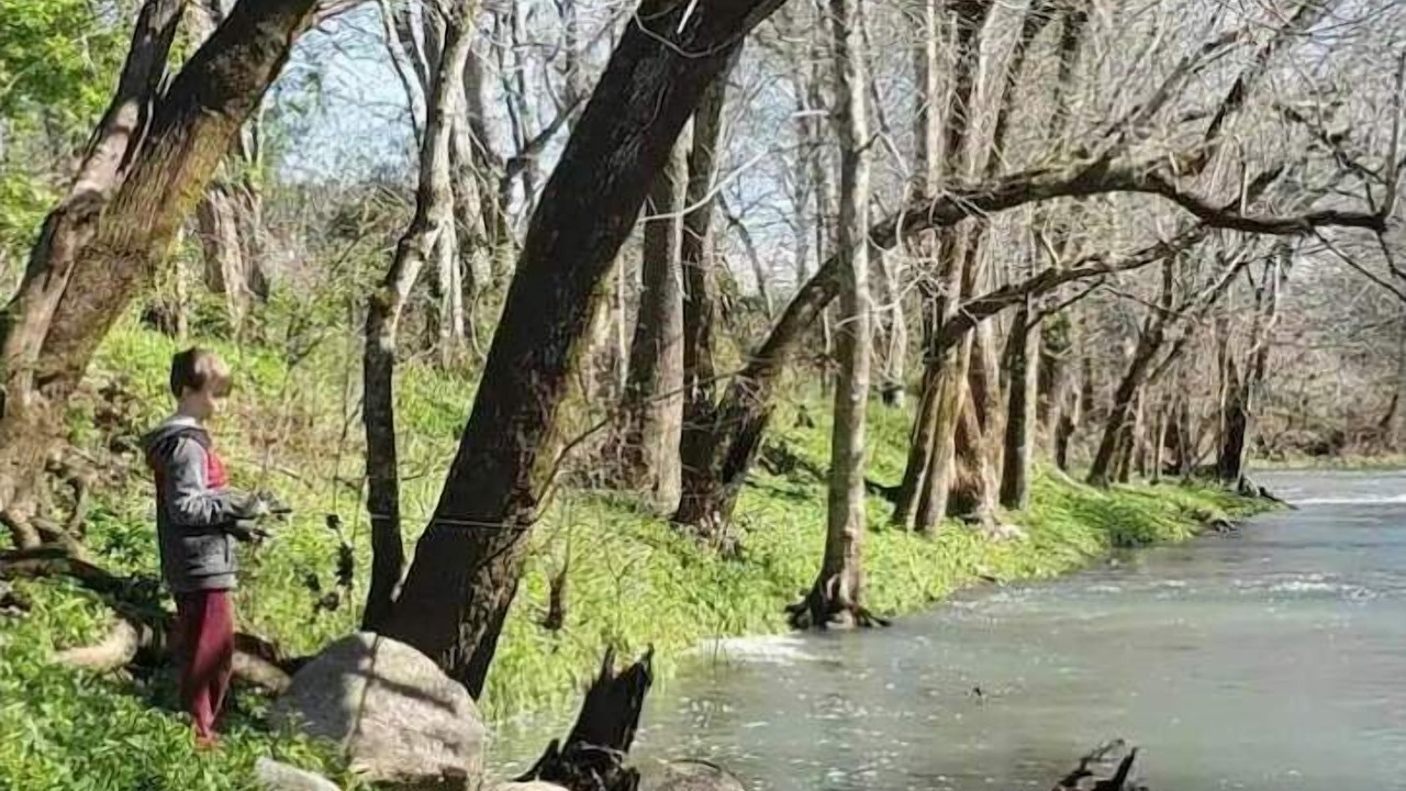 Photo of Others in Wilson County