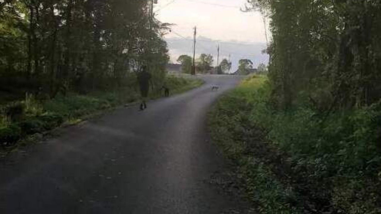 Photo of Others in Wilson County