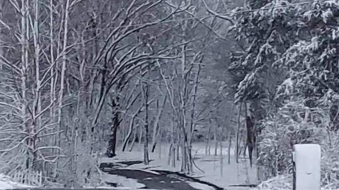 Photo of Others in Wilson County