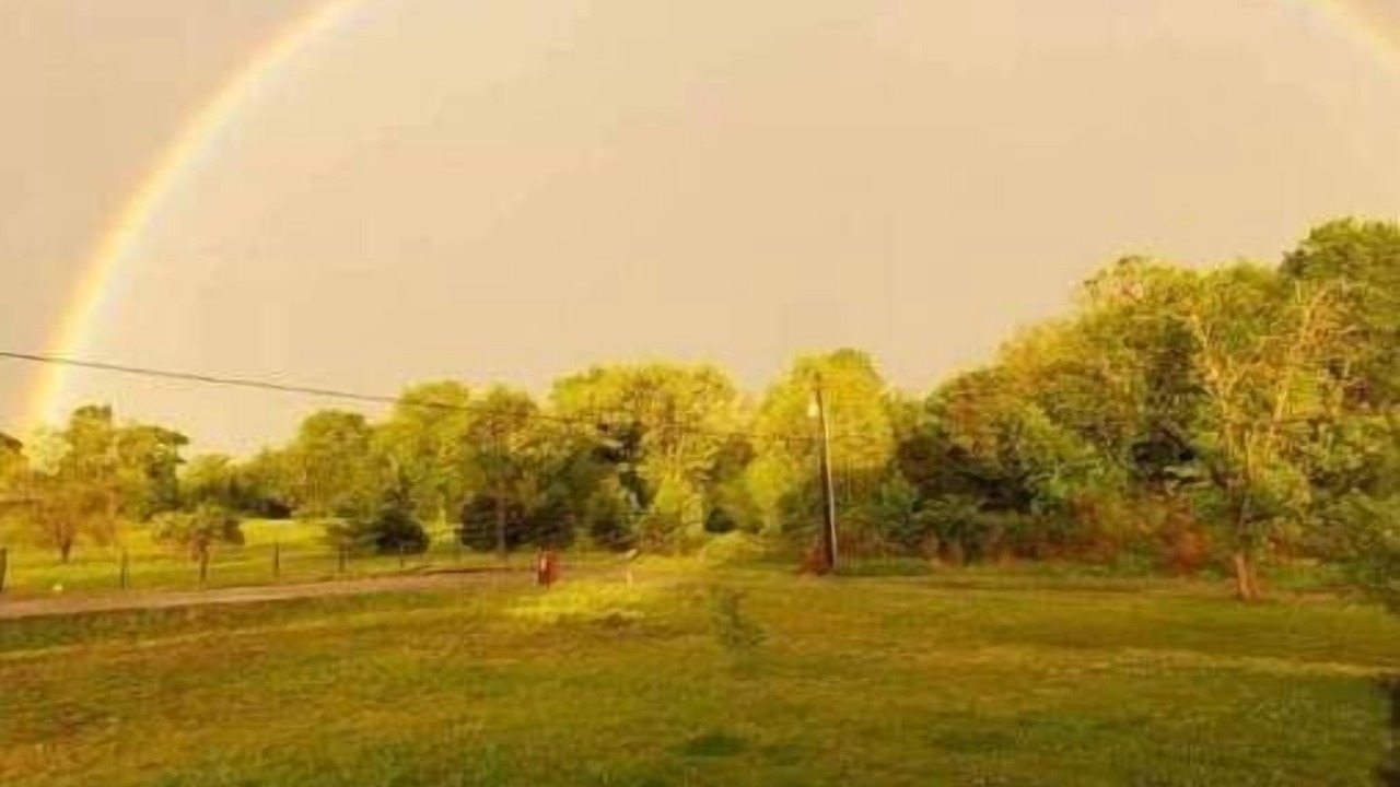 Photo of Outdoor in Wilson County