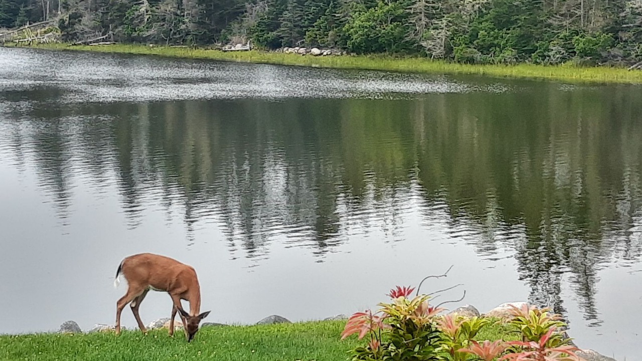 Photo of Others in Garden Lots