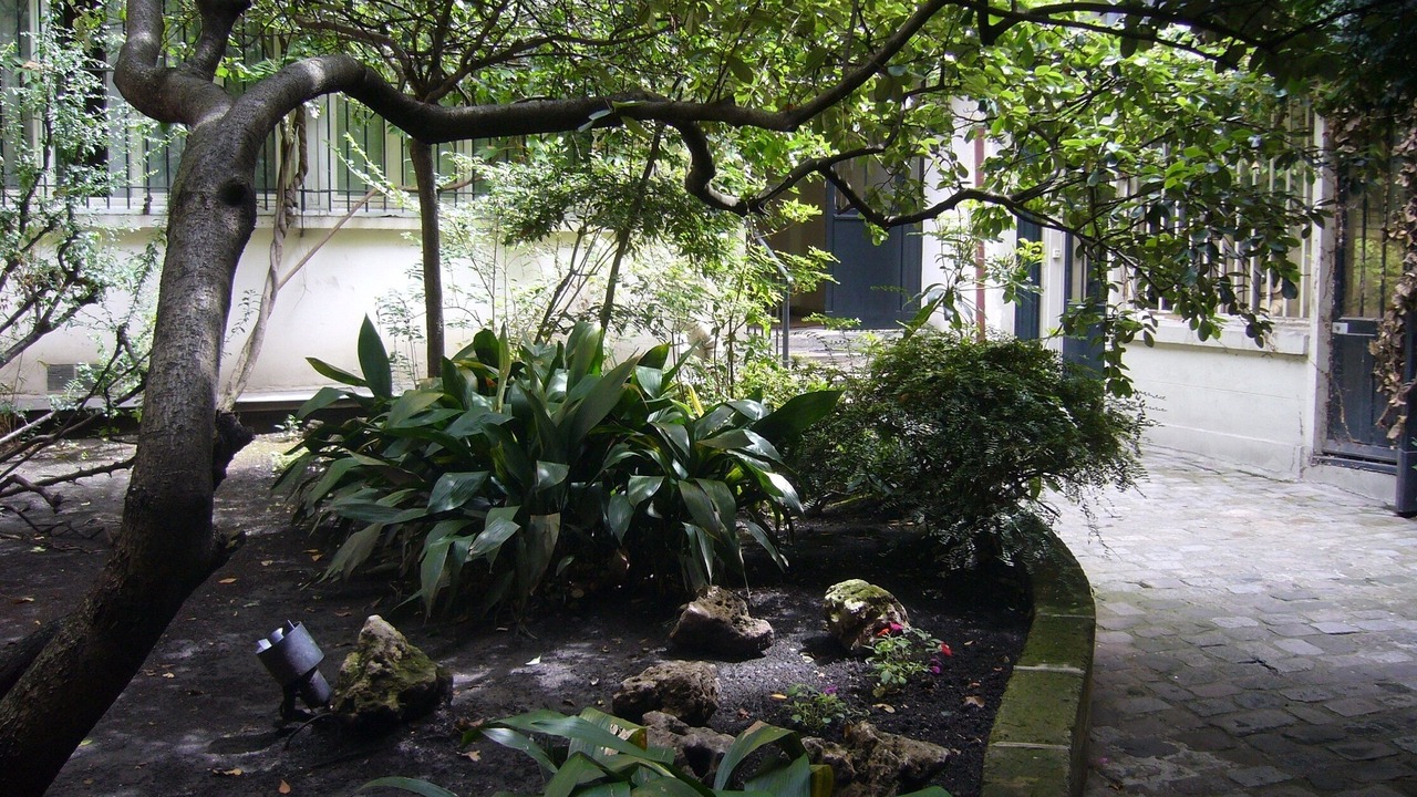 Photo of Outdoor in Arsenal
