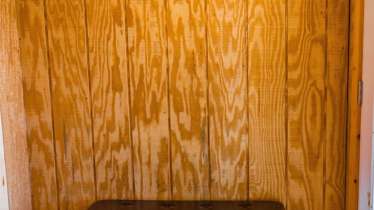 Photo of Others in Hewitt