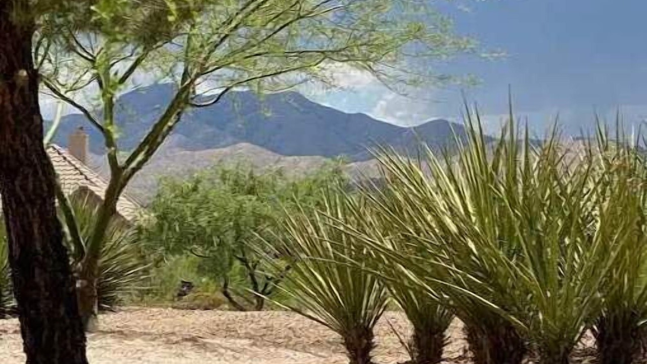 Photo of Outdoor in New Tucson