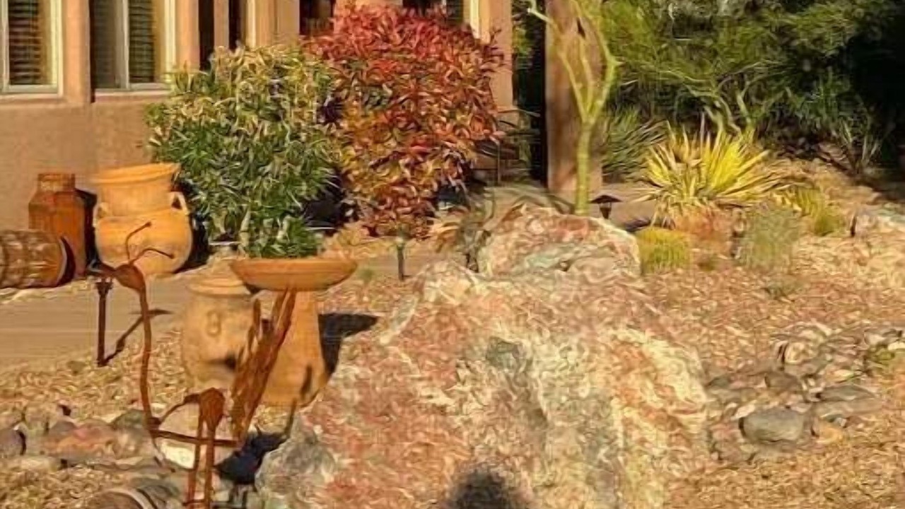 Photo of Outdoor in New Tucson