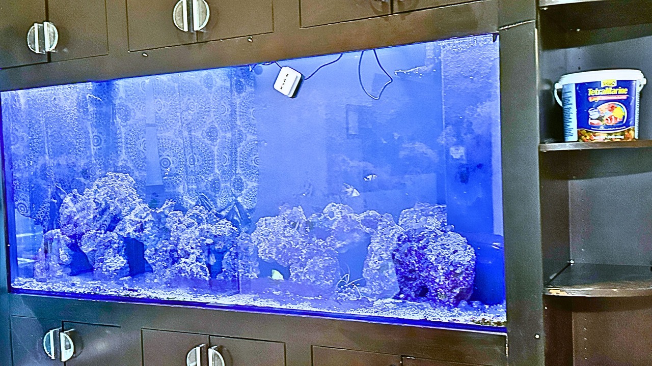 Photo of Bedroom in The Colony