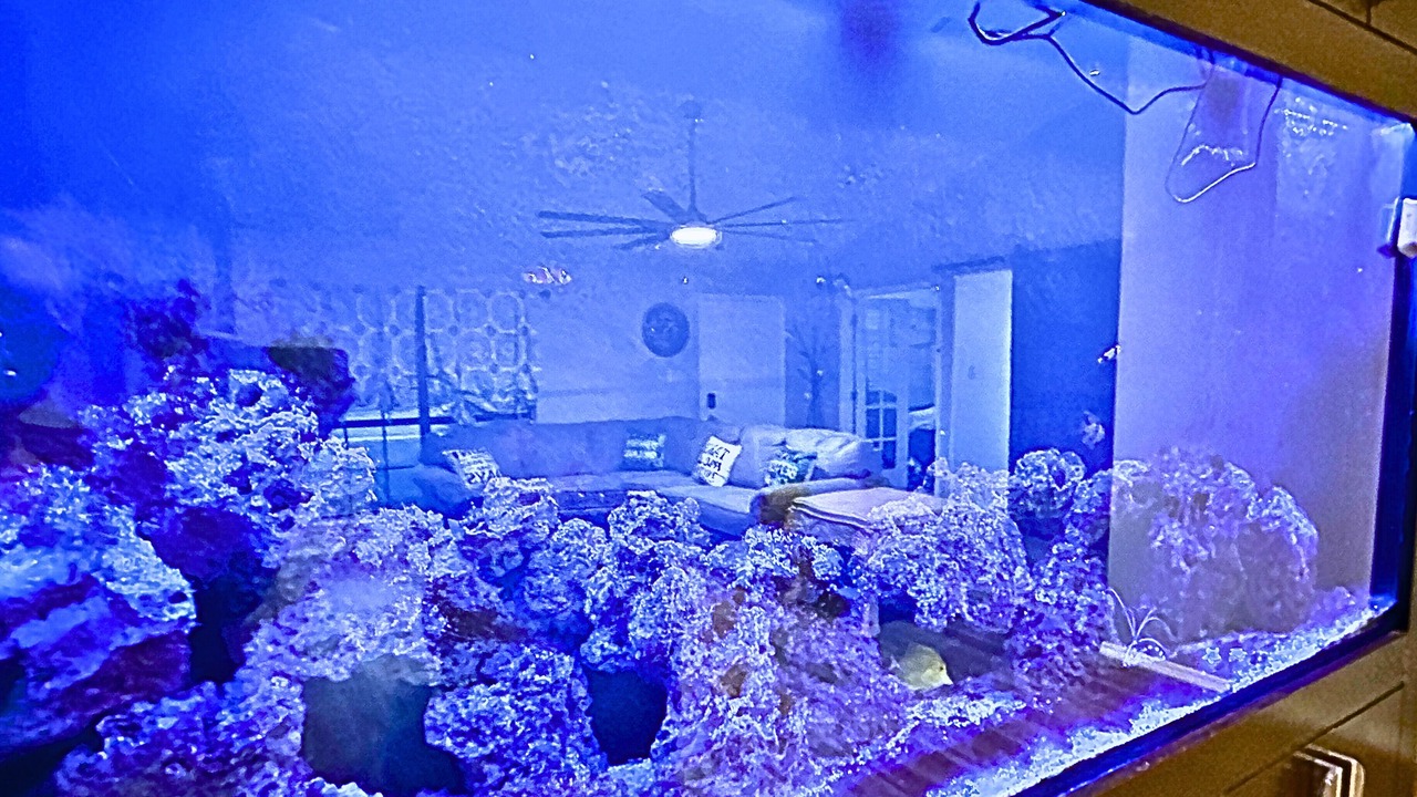 Photo of Bedroom in The Colony