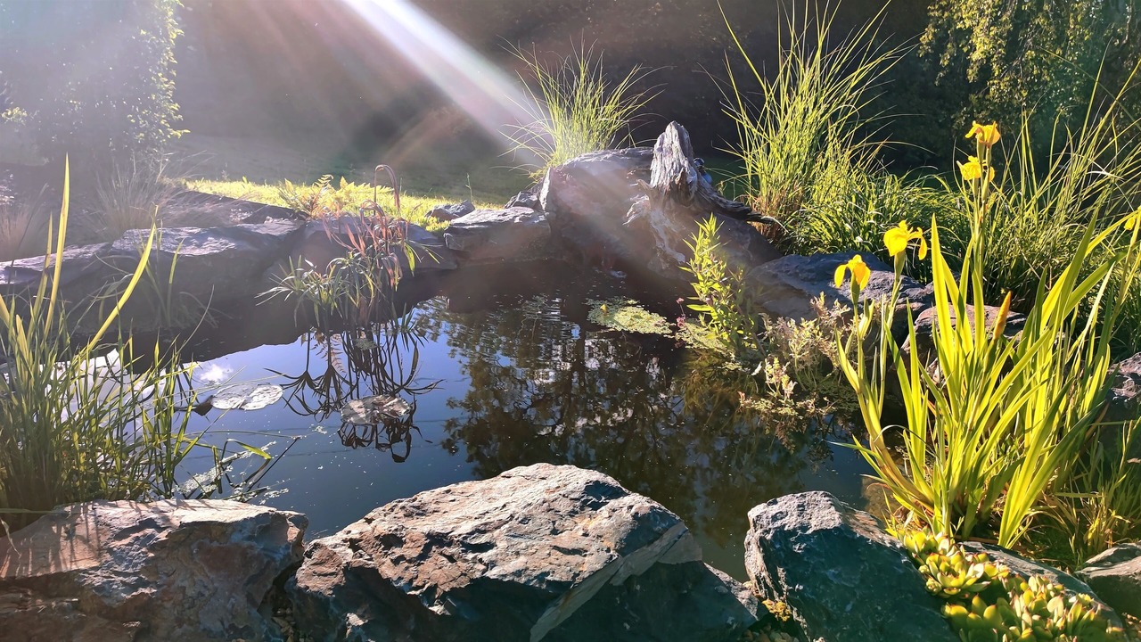 Photo of Outdoor in Crouttes