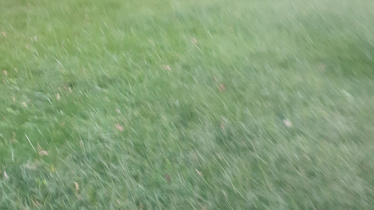 Photo of Outdoor in Ampere