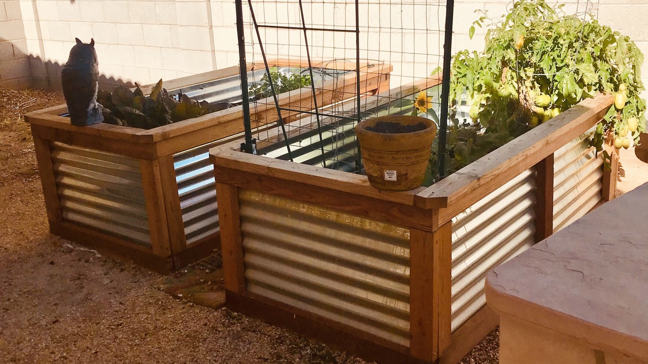 Photo of Outdoor in Estrella Vista
