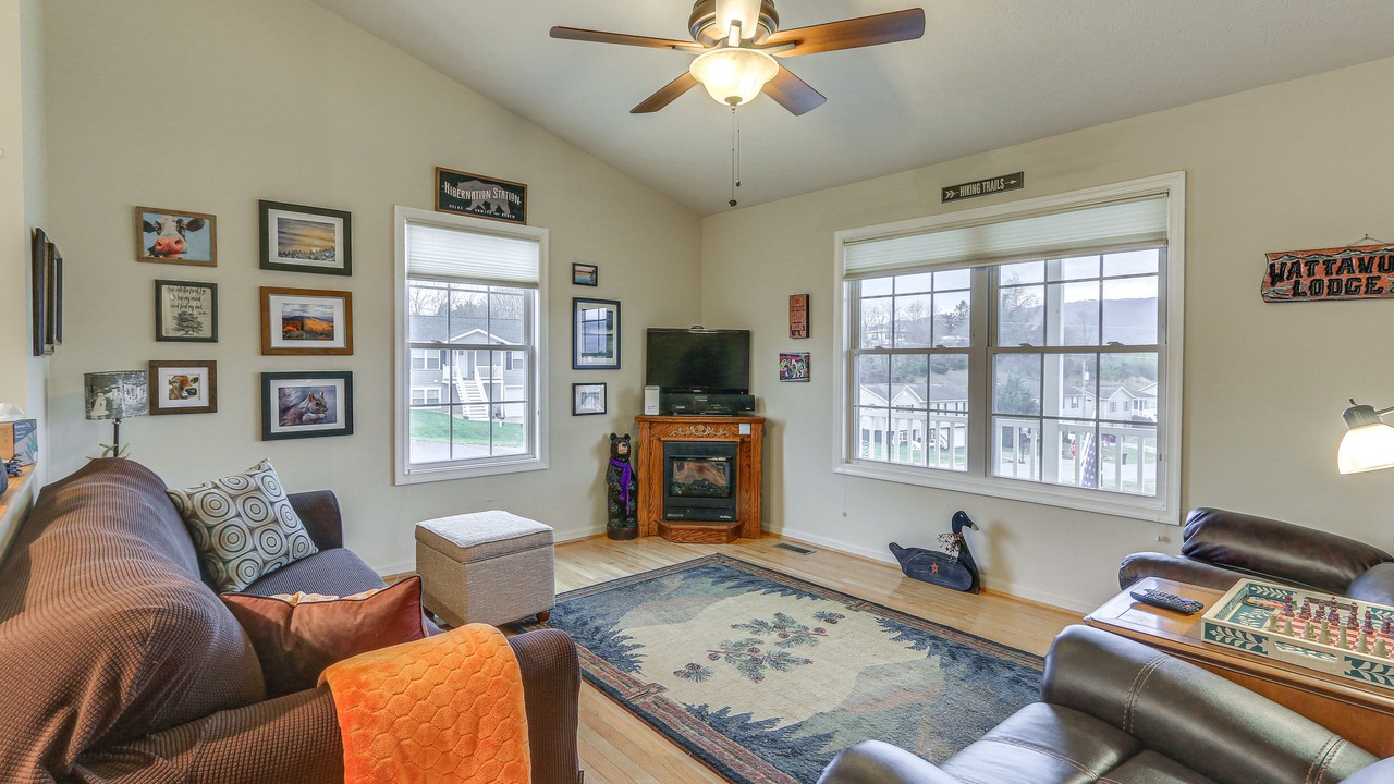 Photo of Livingroom in Shenandoah