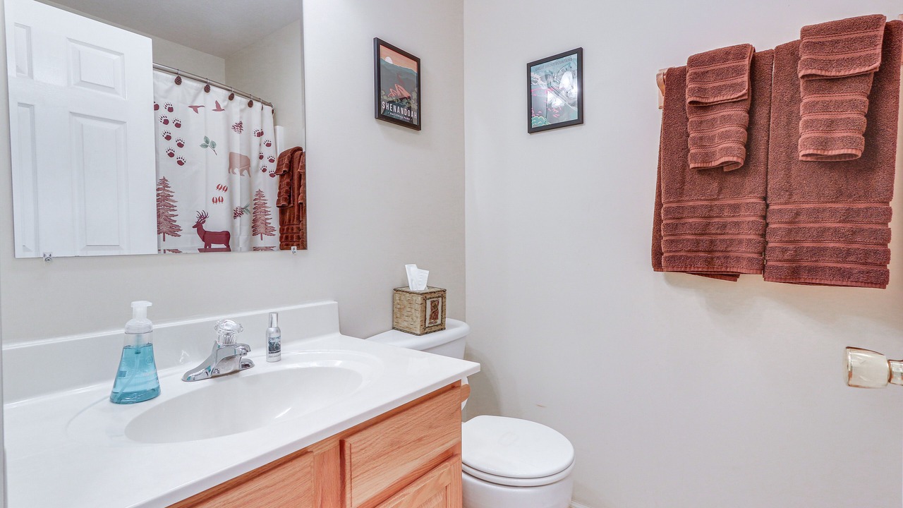 Photo of Bathroom in Shenandoah