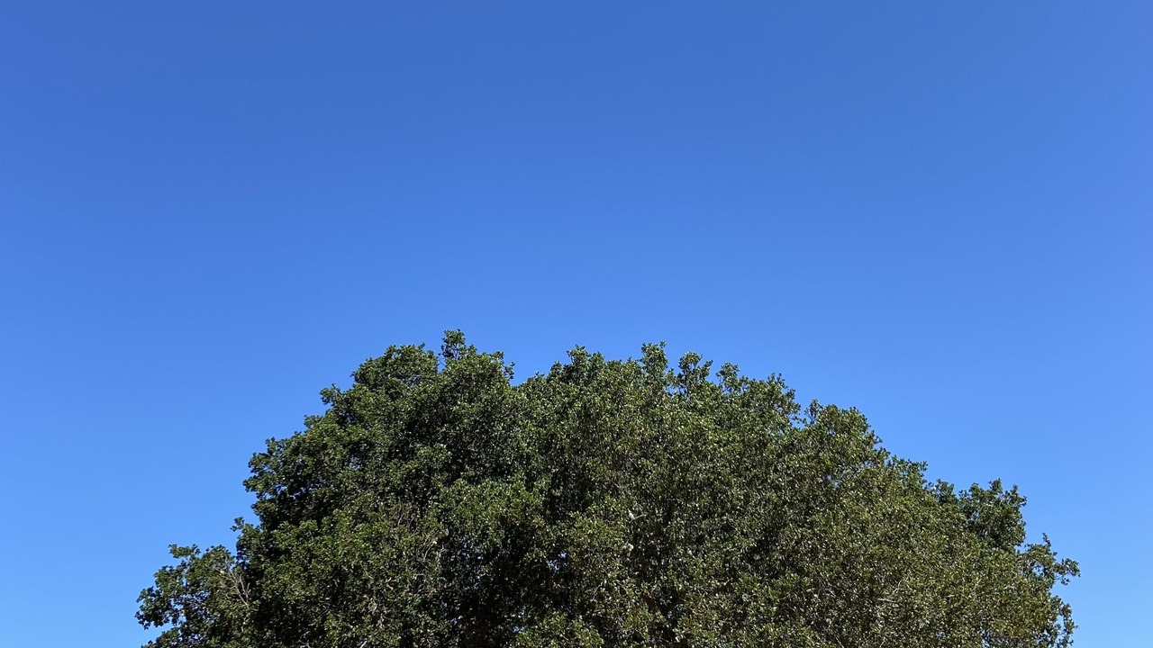 Photo of Others in Sleepy Hollow