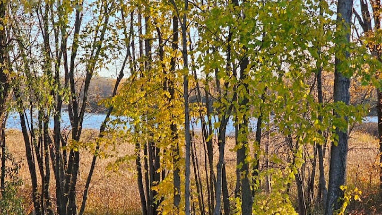 Photo of Others in Communaute-Urbaine-de-l'Outaouais
