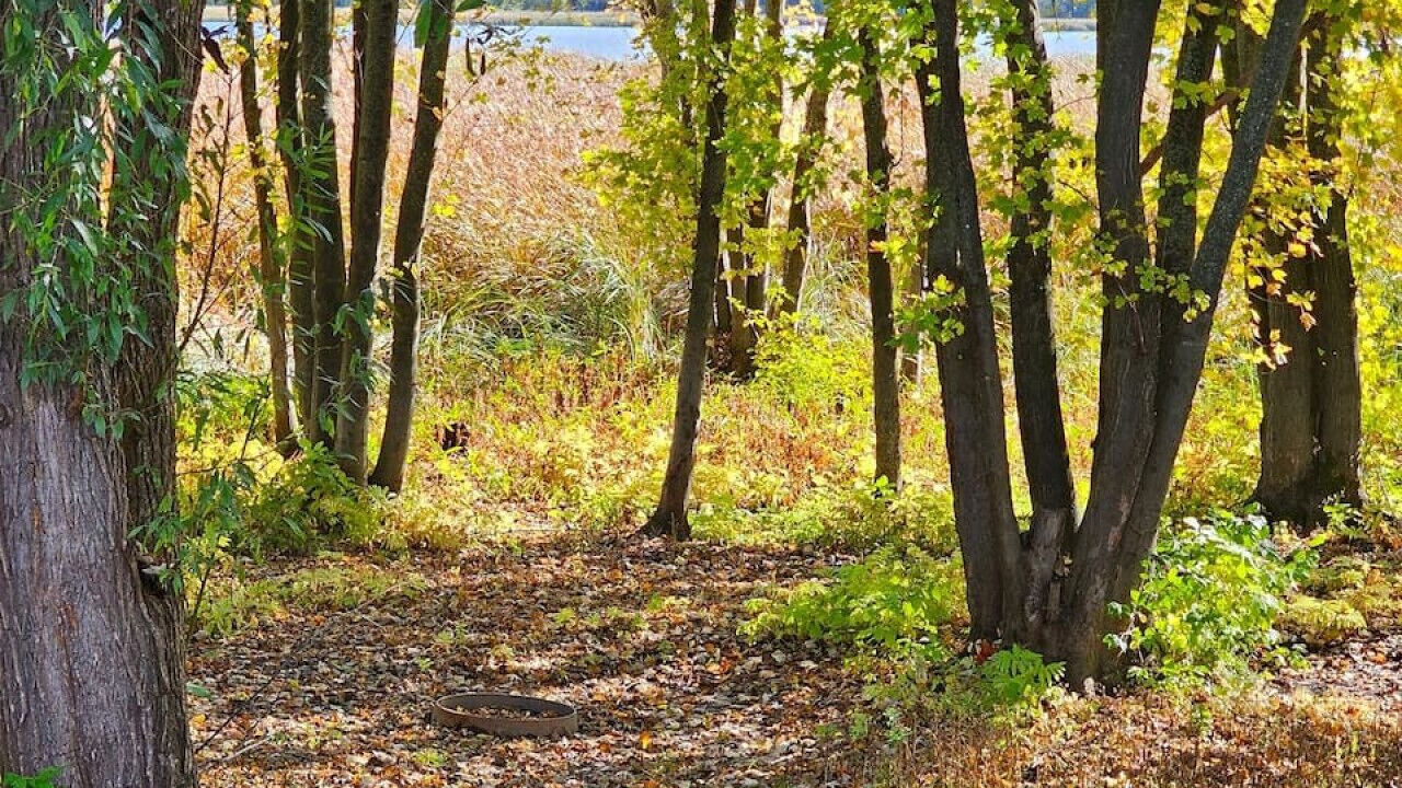Photo of Others in Communaute-Urbaine-de-l'Outaouais
