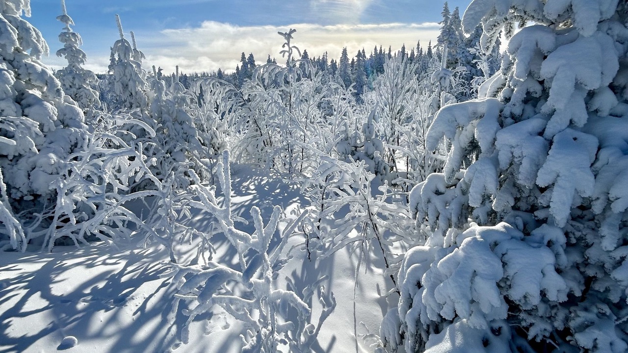 Photo of Outdoor in Alma