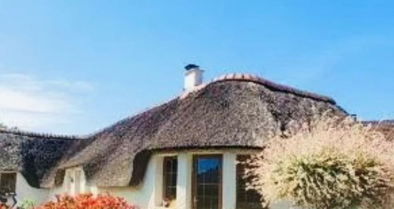 Photo of Outdoor in Abbeville